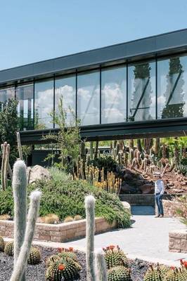 沙漠绿洲的能源革新 太阳能驱动下的植物花园